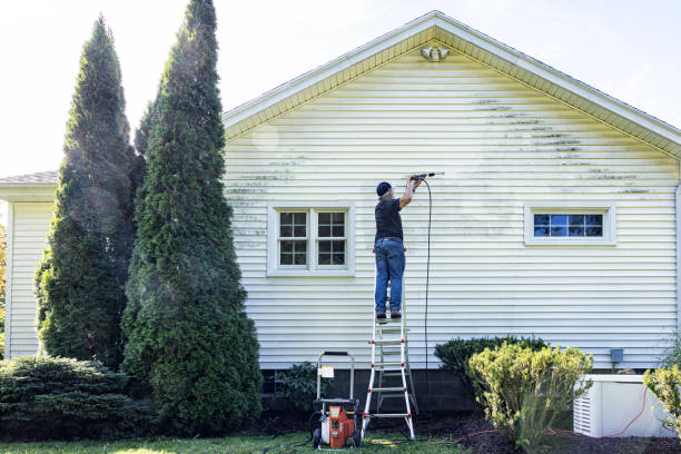 Best Sidewalk and Walkway Cleaning  in Wadley, GA